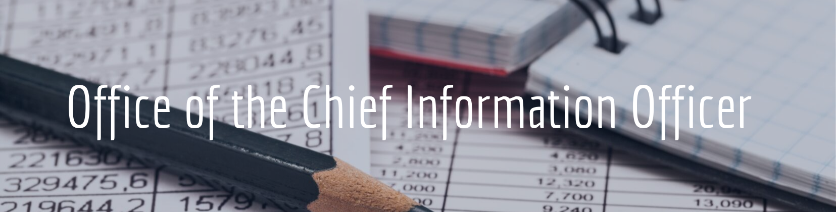 Office of the Chief Information Officer banner