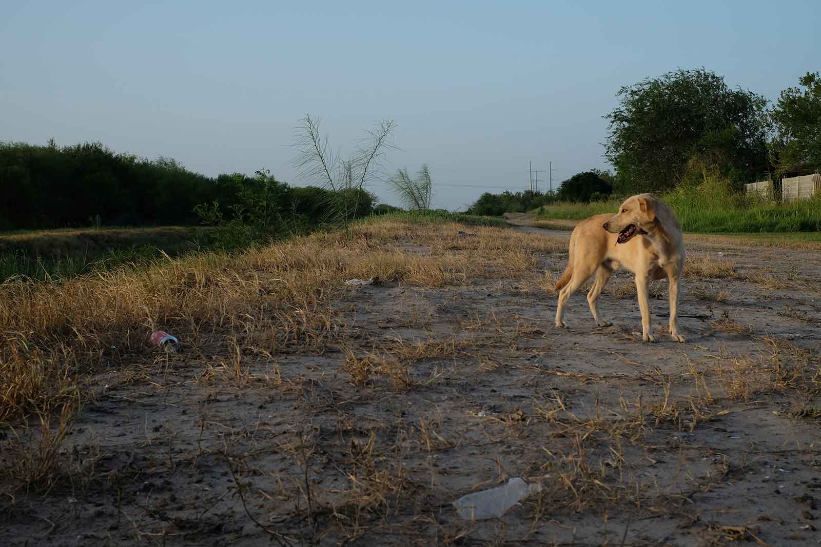 (Photo courtesy of Gaige Davila)