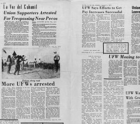 Newspapers