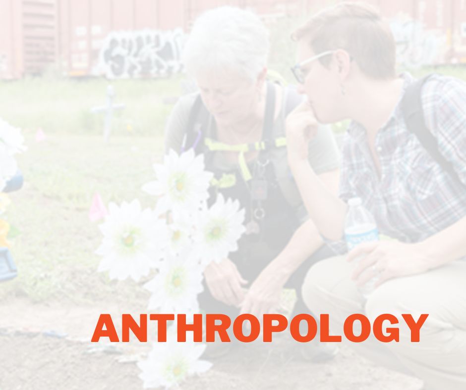 Anthropology