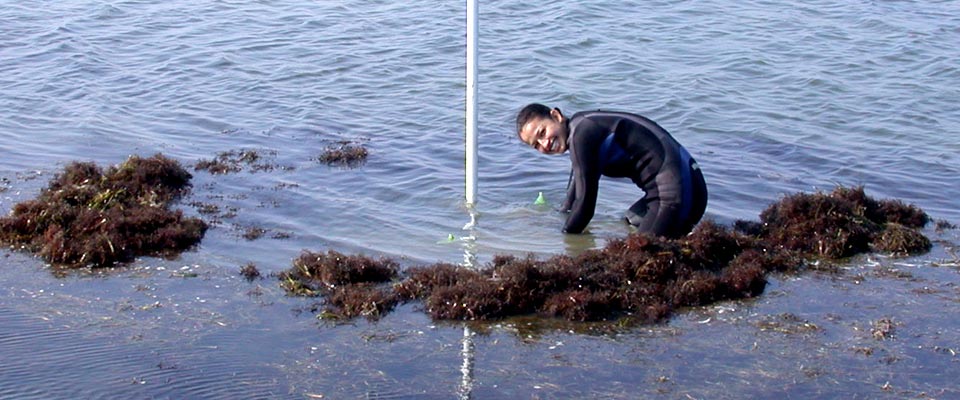 Testing at the bay