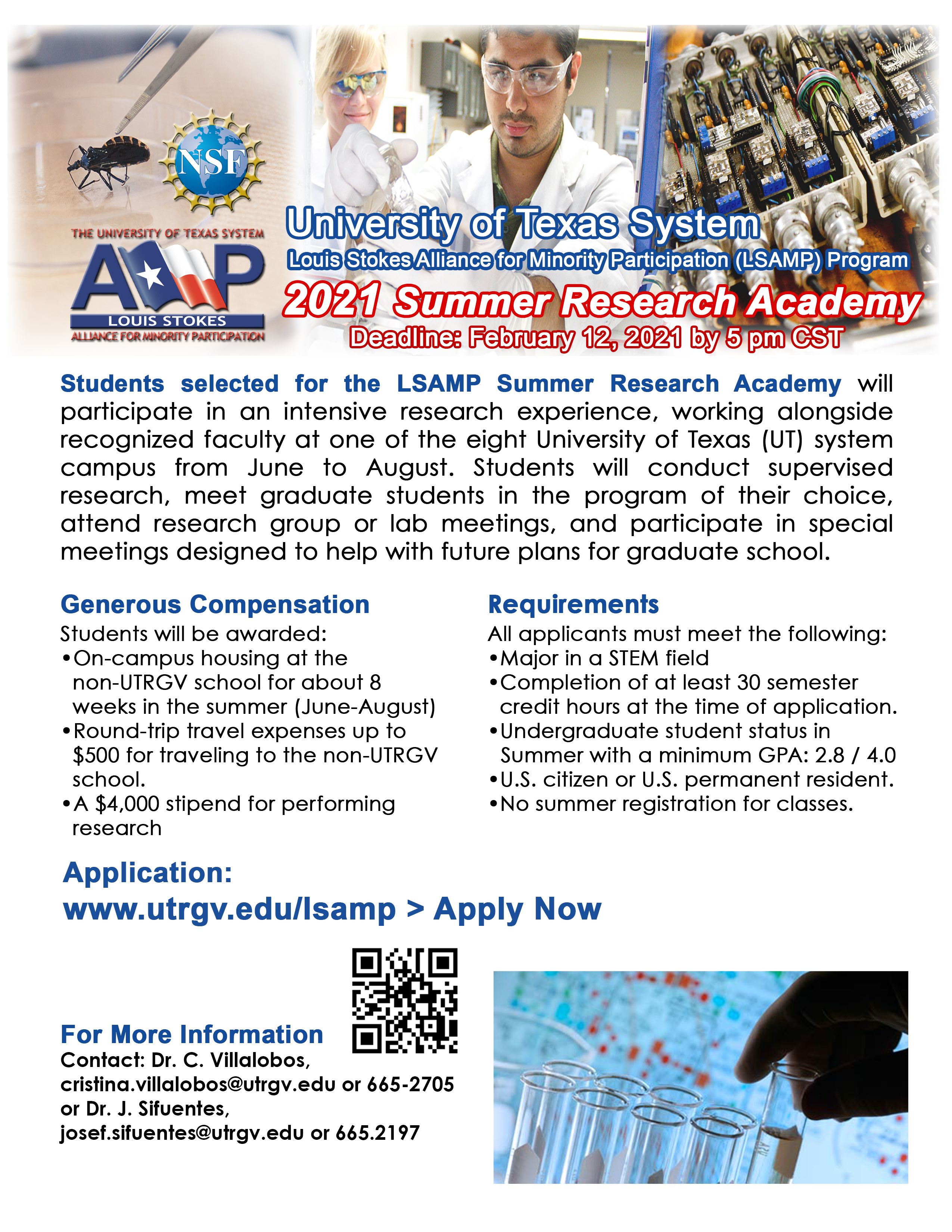 Download LSAMP 2021 Summer Research Academy Flyer PDF
