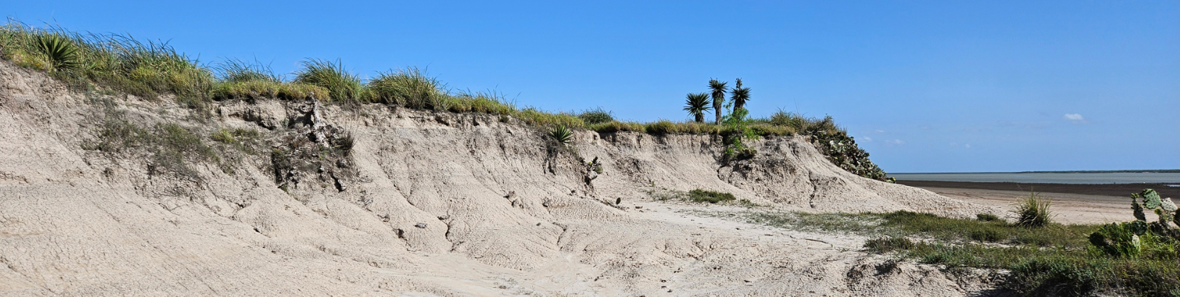 Clay dunes in Laguna Atascosa National Wildlife Refuge. Page Banner 