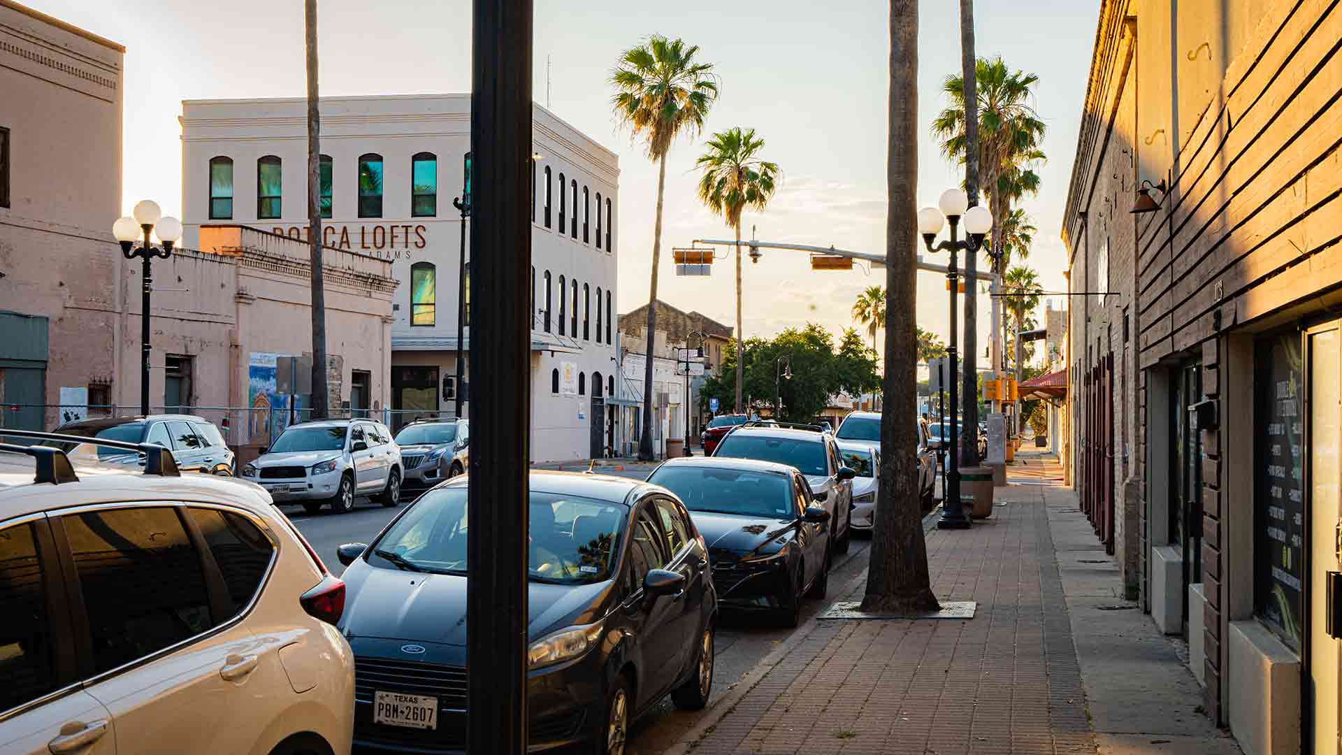 Palm-lined downtown street in South Texas, reflecting the local community where Alzheimer's research and outreach take place.