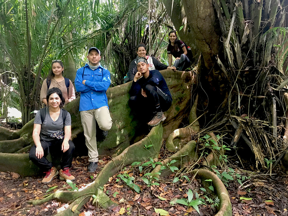 A group of students from The University of Texas Rio Grande Valley spent two weeks in Costa Rica as part of a study abroad English course called “Living, Reading, Writing Nature.” The course, a special topics class taught by Pamela Herring, a lecturer in the UTRGV Department of Writing and Language Studies, is in its eighth year and centers on assigned readings, two written by Jack Ewing, co-founder of the Hacienda Barú National Wildlife Refuge, where the students stayed. Hacienda Barú, a private nature reserve with 830 acres of protected forest, mangrove and seashore, allows students to participate in hands-on activities like swimming near the base of waterfalls, tree climbing, overnight camping in the jungle, and the “Monkey Challenge,” an obstacle course in the trees. (Courtesy Photo)