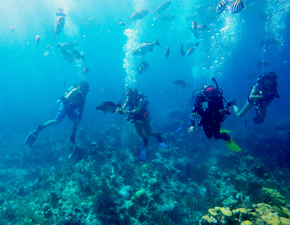 UTRGV students studying abroad in Belize this summer explored one of the most famous dive sites in the world – the Great Blue Hole, part of the Mesoamerican Barrier Reef, which is the largest coral barrier reef in the Western Hemisphere – during the Ocean, Coastal and Earth Sciences course on coral reef ecology. Students used data collected during the dives for their individual research projects. The course, led by Dr. David Hicks, director of the UTRGV School of Earth, Environmental and Marine Sciences, also took them to a tropical education center in the rain forest. (Courtesy Photos)