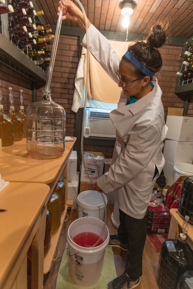 Ana Bennack, who helps her father with his research, tests a batch of wine.