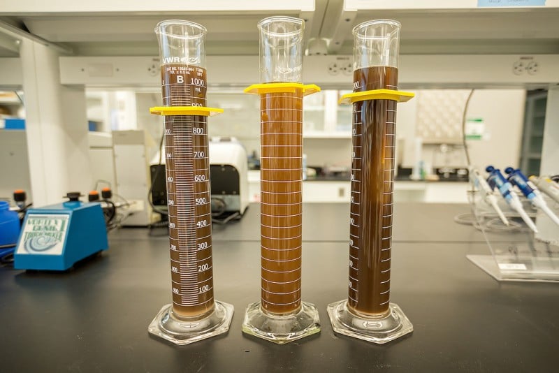 soil samples