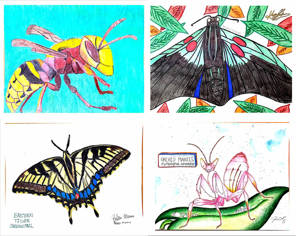 Pictured is some of the artwork of insects created by students in Dr. Rupesh Kariyat's undergraduate entomology course. (Courtesy Photos)