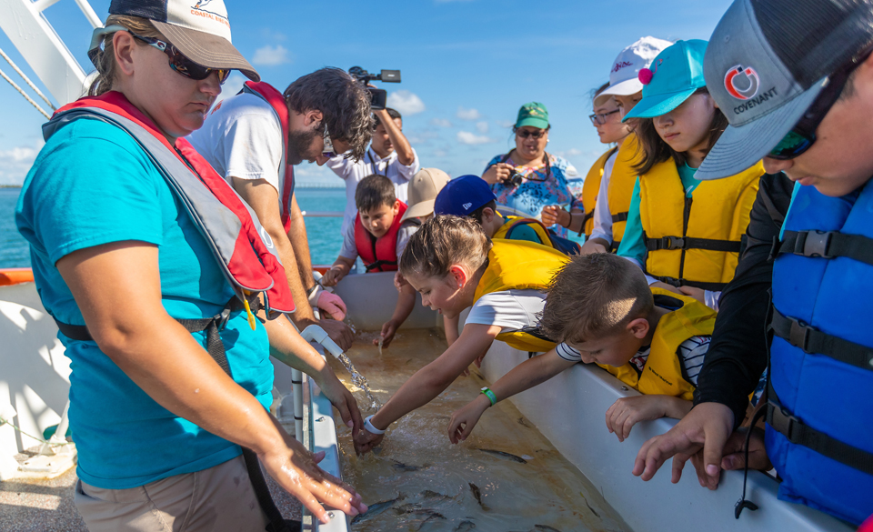 The Newsroom UTRGV Marine Science Summer Camp offers closeup look at