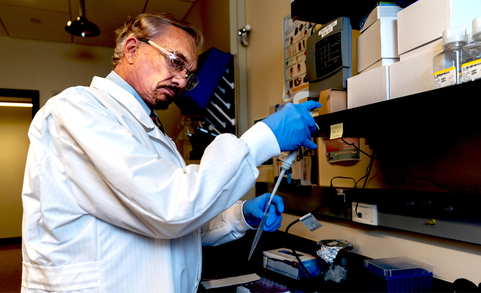 Dr. John VandeBerg, a professor of Human Genetics at UTRGV, is part of an international research collaboration that has produced the first detailed roadmap of how our DNA sends its information to the embryo’s cells to control the development of various tissues and organs. The process, called ‘gene expression,’ can determine the health of an embryo by directing each organ to adapt to its changing environment. (UTRGV Photo by David Pike)