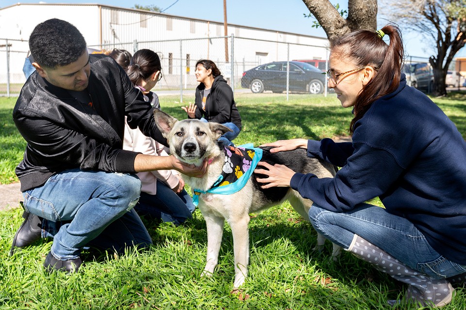 UTRGV students care for a dog