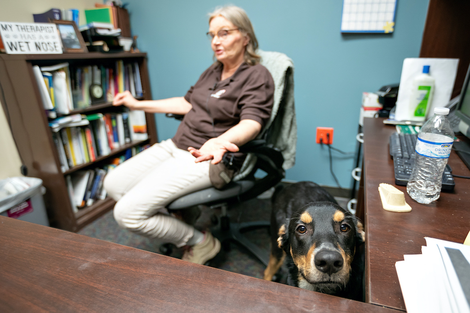 Dr. Silcox giving an interview next to her dog, Flip.