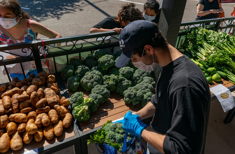 Student picking up produce