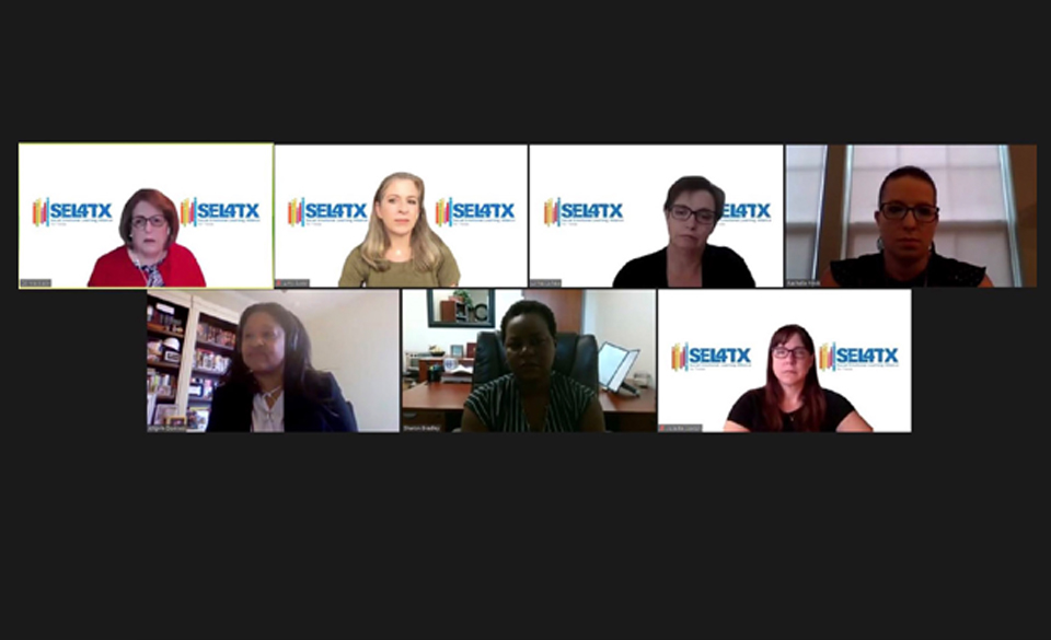 A virtual panel discussion during the TASP 2020 Virtual Summer Institute in June. (Courtesy Photo)