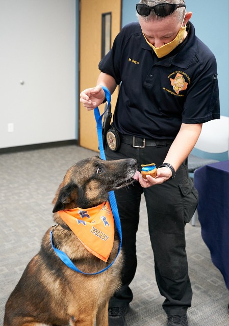 Officer K9 Odin, known as “Odie"