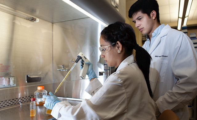 UTRGV students in the BMED program