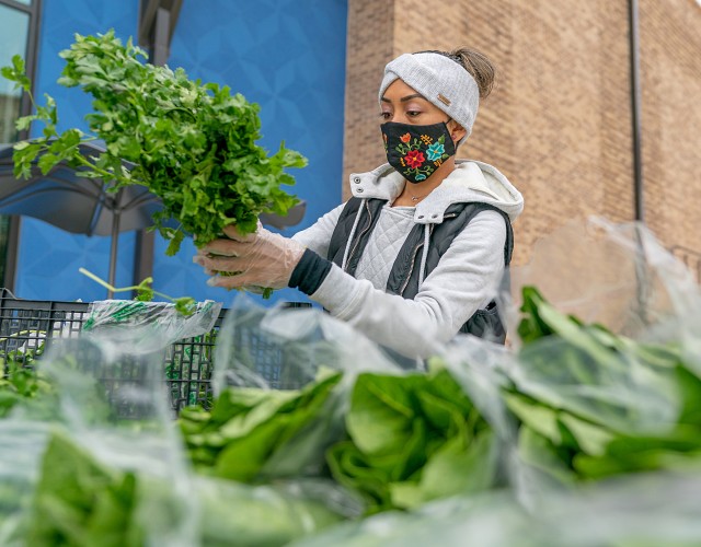 Carmen Elena Galvan participating in the UTRGV Campus Food Security Initiative 