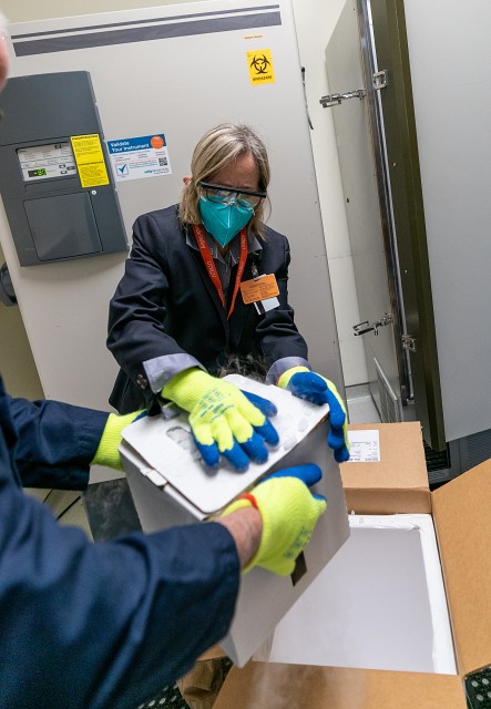 Dr. Linda Nelson, senior director of Clinical Operations for the UTRGV School of Medicine and UT Health RGV, unpacks the COVID-19 vaccines