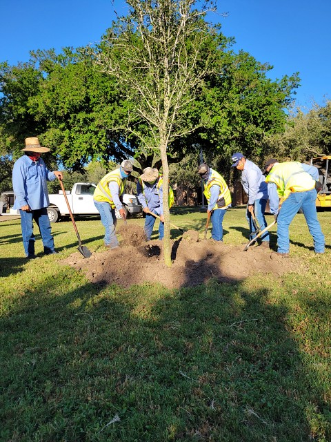 Facilities and Operations pre-recorded the planting of ceremonial trees on both the Edinburg and Brownsville campuses