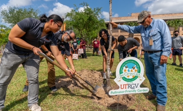 UTRGV Dept of Sustainability celebrated Pollinator Day by planting a new native tree by the Brownsville Campus Pollinator's Garden. Students were invited to help with the planting, and listen to a couple of the SEEMS professors talk about the importance of native plants and insects.