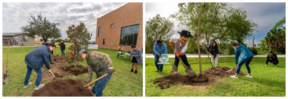 The UTRGV Office of Sustainability held their annual Arbor Day planting of a tree on the Brownsville and Edinburg Campuses. The event was held on Nov. 14, 2022 on the Brownsville Campus, and will be in Edinburg on the 15th.