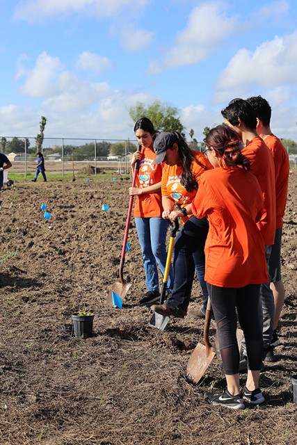 UTRGV students plant trees on Dec. 10 at the San Carlos Endowment Center as part of the Precinct 4 Community Forest Restoration Planting Event. The event was part of the Community Forest Restoration and Education Literacy Program that engages community residents in local environment topics and design.