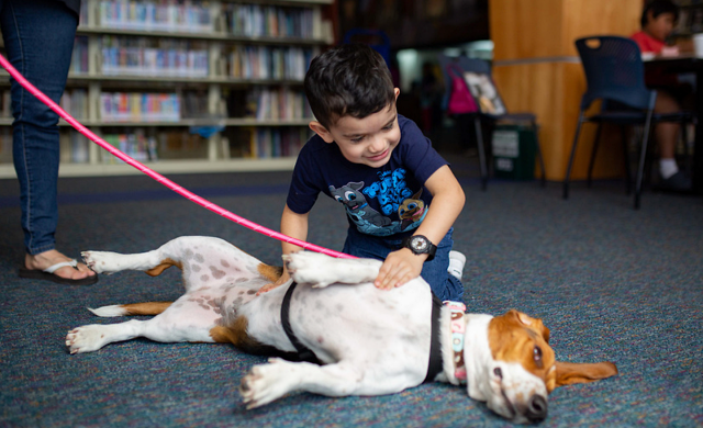 Boy playing with dog at the library