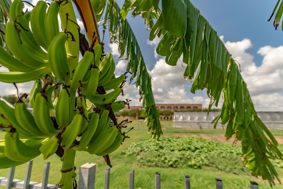 utrgv office for sustainability 