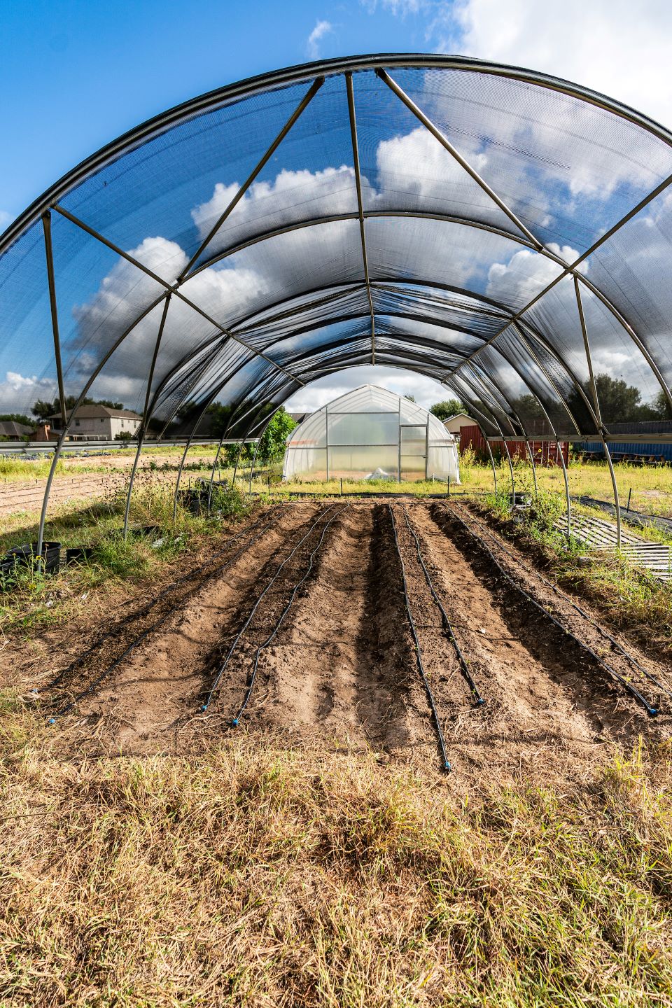 utrgv office for sustainability 