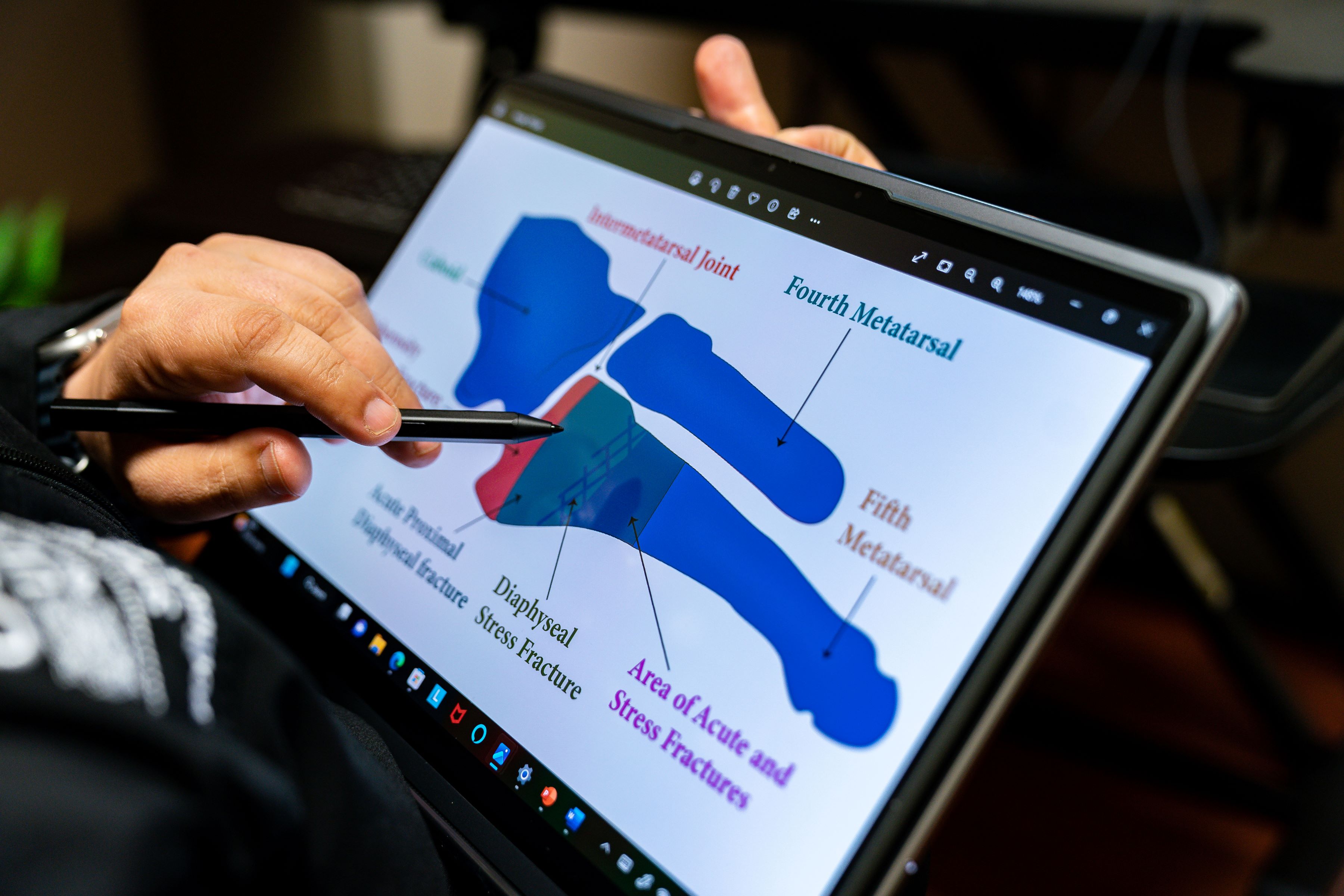 medical illustration 