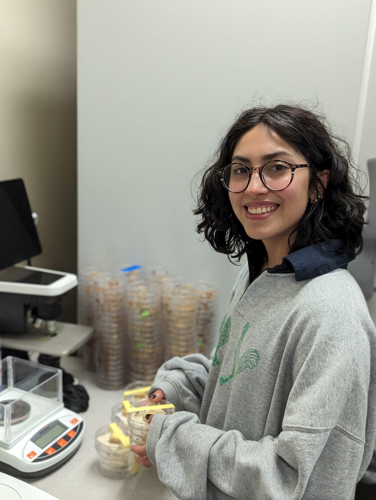 utrgv student