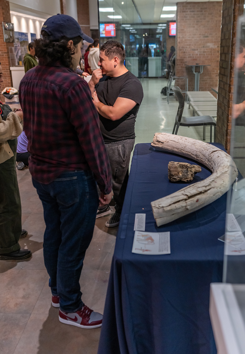 UTRGV exhibit with tusk