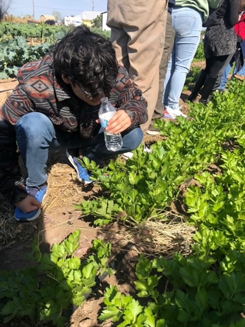 Students planted, picked, and ate produce, learned about greenhouses and compost, pet and fed the animals, and saw the vegetation that grows on the farm. (Courtesy Photo)