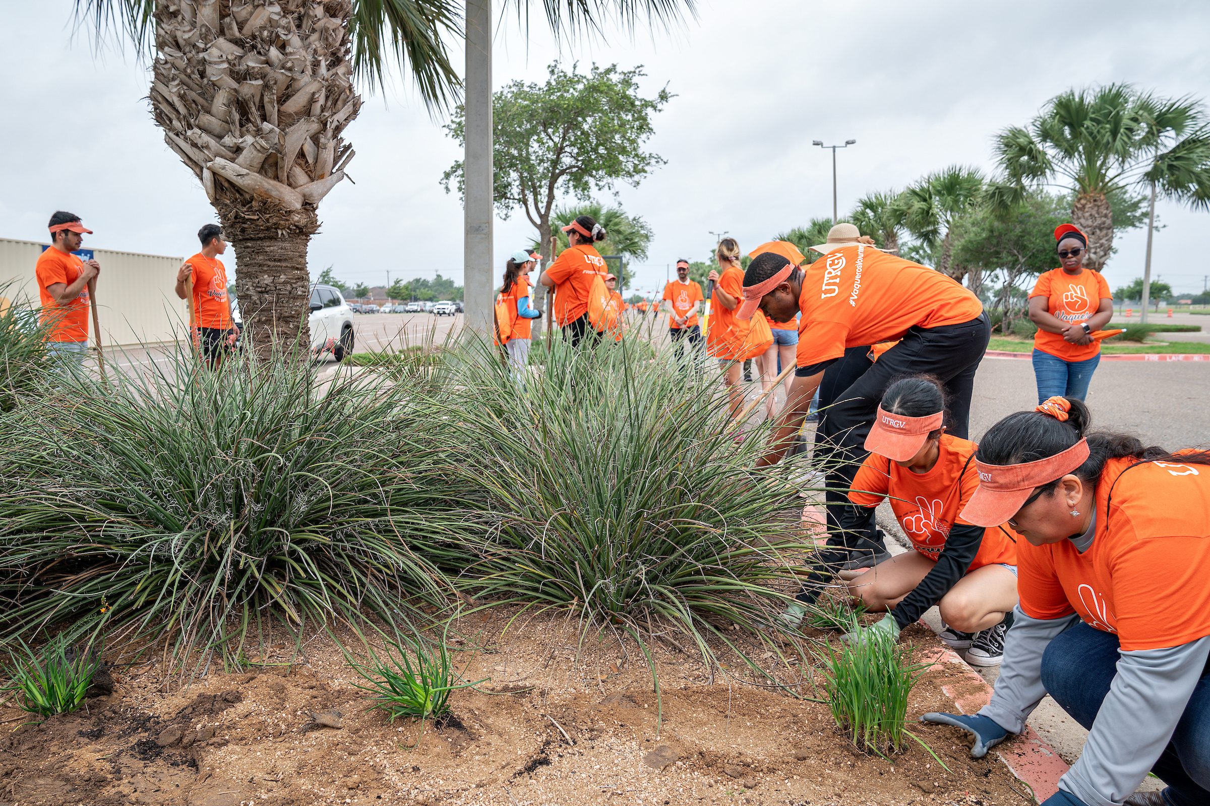 UTRGV community volunteering