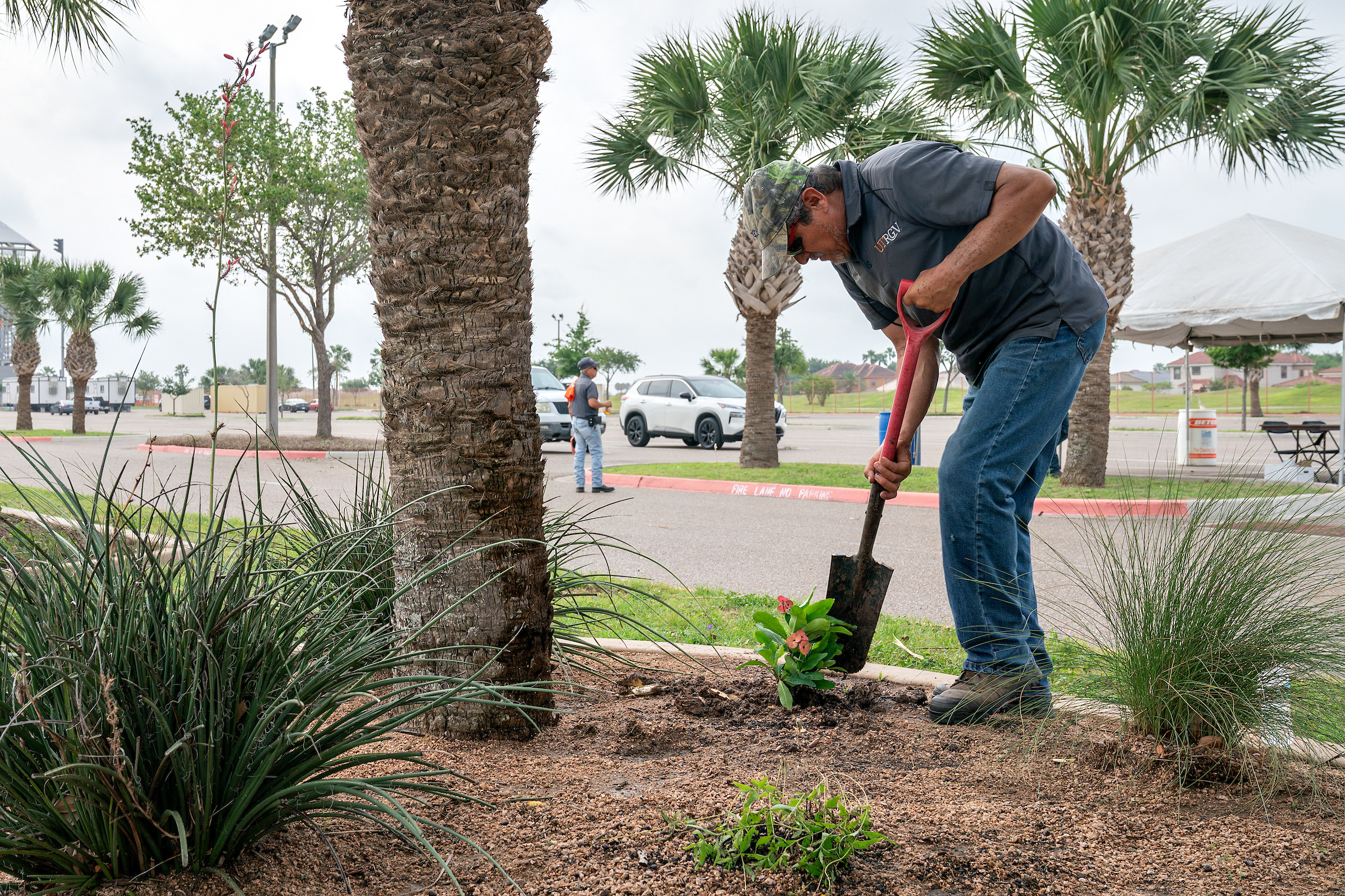 UTRGV community volunteering