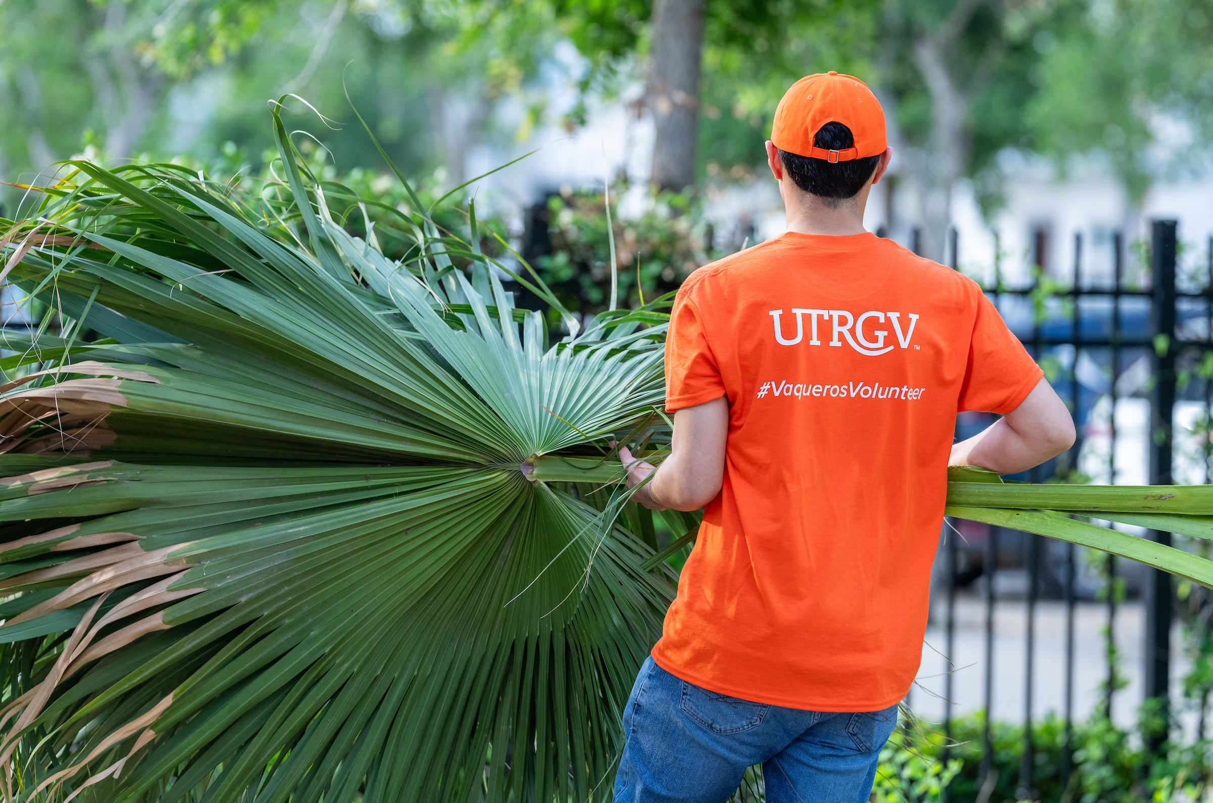 UTRGV community volunteering