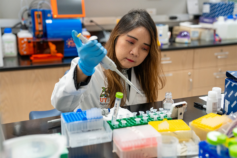 researcher-utrgv-som.jpg