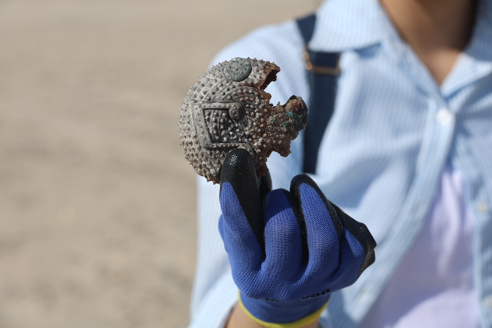 A gloved hand holds a round, textured piece of debris found on the beach, shown close-up with the shoreline blurred in the background.
