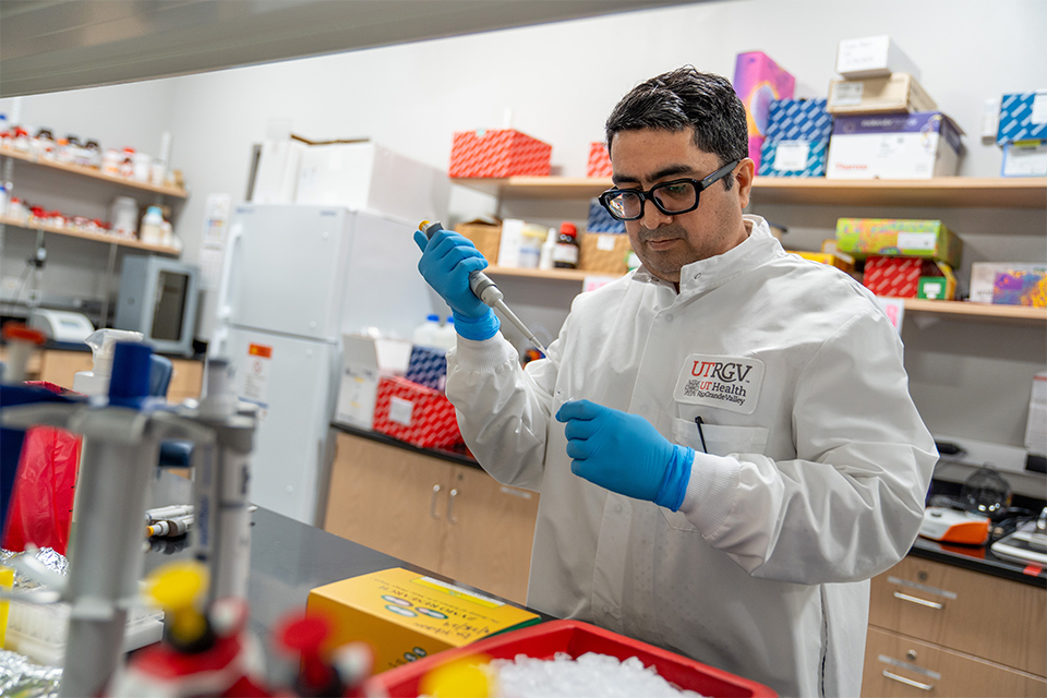 A scientist works in the laboratory studying samples. 