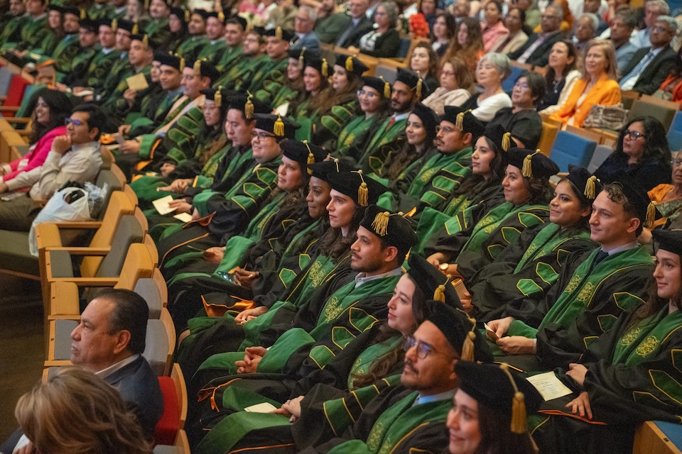 Graduates in black and green gowns seated in a row, wearing caps with tassels. They appear focused and proud during a formal ceremony.