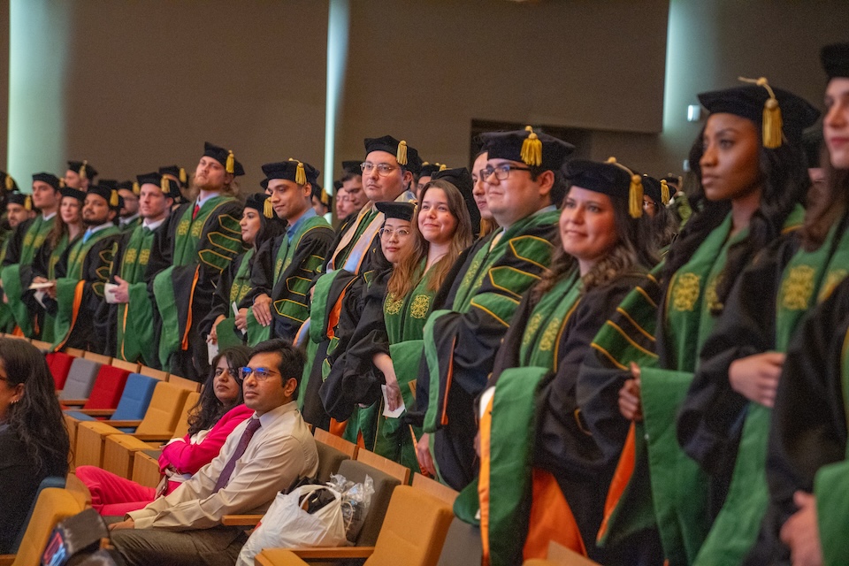 Graduates in black and green gowns seated in a row, wearing caps with tassels. They appear focused and proud during a formal ceremony.