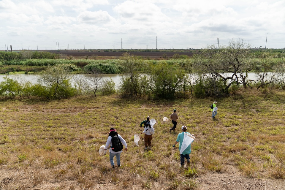 People walking through a grassy field with insect nets near a river during an outdoor research survey.