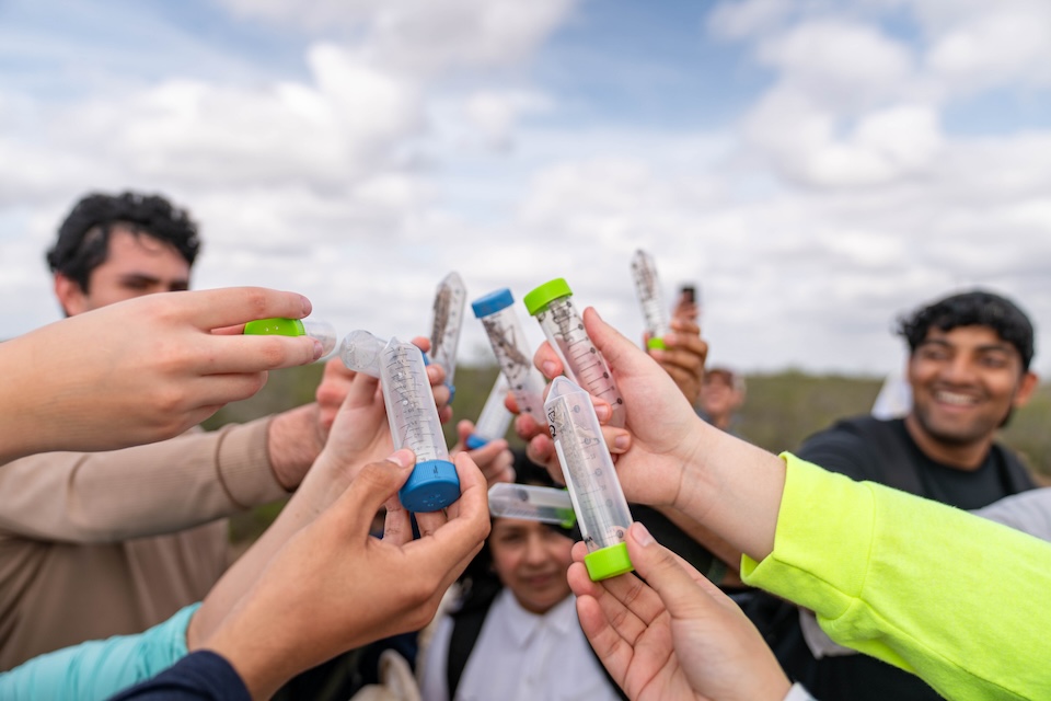 Several people outdoors hold up clear specimen tubes containing locusts during a field research activity.