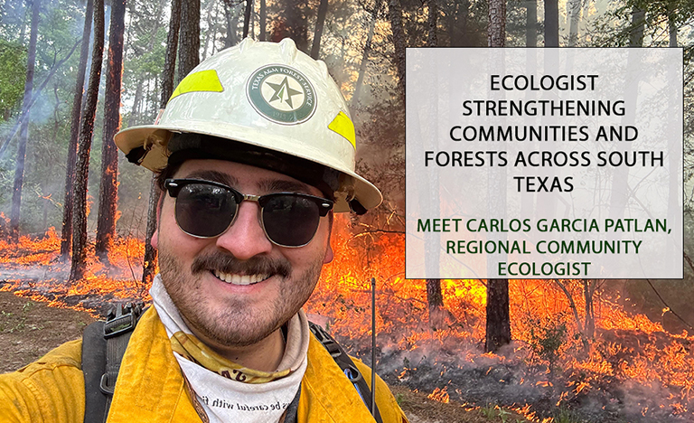 $ani_article_img_alt