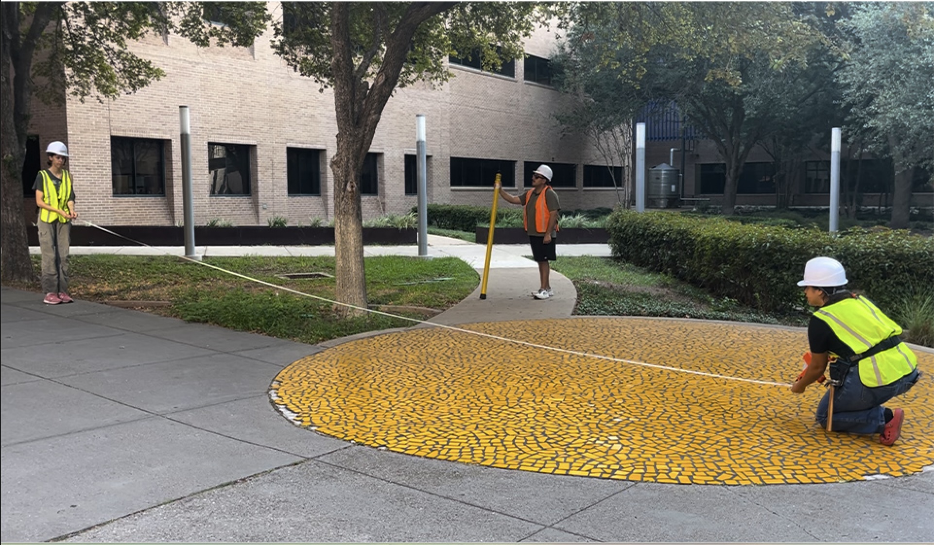 measuring-trees-utrgv-campus