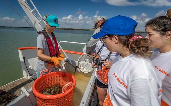  UTRGV Marine Ecology Camp