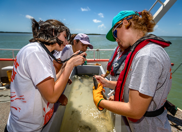 Student photographs a fish.