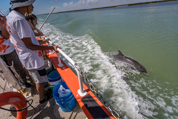 Dolphin swims beside the Ridley.