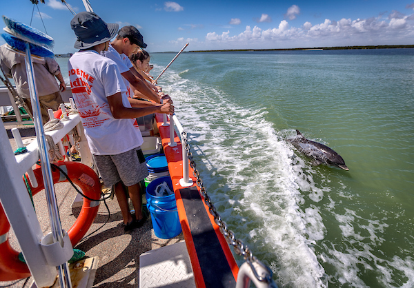 Students watch the swimming dolphin.